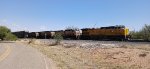 UP 5636